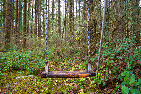 被抛弃的手势植被植物金属秋千椅树木森林娱乐绿色操场玩具图片