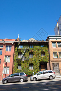 Ivy 覆盖大楼公寓楼爬坡房子生活阁楼蓝天建筑蓝色丘陵图片