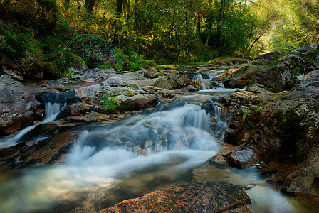 Geres河流域国家远景环境植物木头森林苔藓反射风景溪流图片