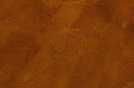 棕色皮革织物皮肤奶牛墙纸材料家具鳄鱼衣服爬虫动物图片