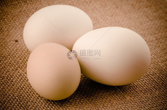 三个鸡蛋产品生活白色家禽圆圈早餐椭圆抹布团体母鸡图片