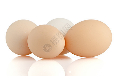 四鸡蛋加白脆弱性椭圆生活动物动物学白色眼睛惊喜早餐棕色图片