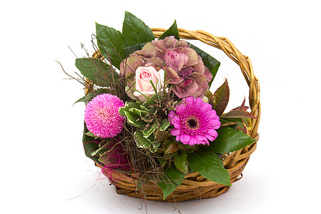 在篮子中的花朵雏菊礼物玫瑰婚礼绣球花菊花叶子植物群妈妈们妈妈图片