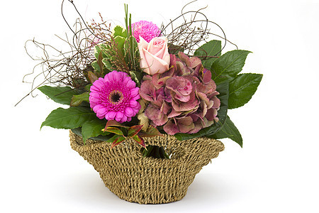 在篮子中的花朵雏菊妈妈订婚菊花绣球花母亲妈妈们礼物婚礼玫瑰图片