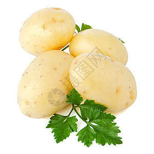 新的土豆和绿色鹦鹉烹饪蔬菜块茎淀粉农业营养植物团体香菜糖类图片