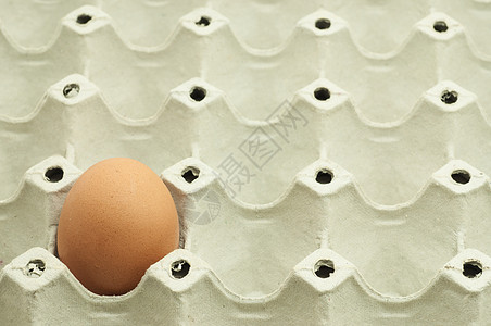 鸡蛋包装包件中特写一个鸡蛋食物灰色农场棕色团体厨房包装白色宏观生活背景