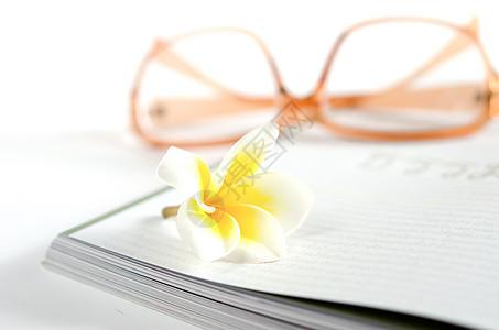 鲜花和天经粉色香味植物群杂志白色眼镜植物鸡蛋花图片