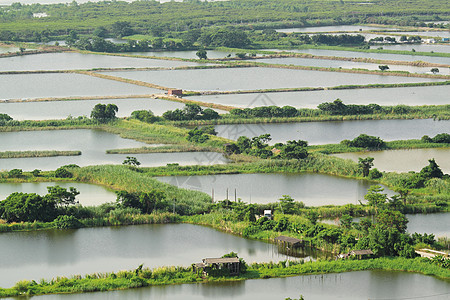 中国的稻田地貌房子场地天空草地场景小麦旅行小路环境农场图片