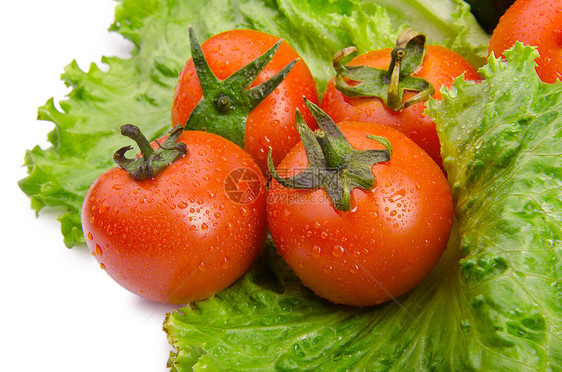 黄瓜和西红柿准备吃沙拉红色食物绿色烹饪生产饮食团体白色蔬菜感恩图片