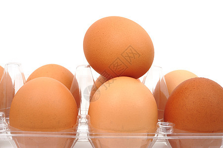 蛋塑料鸡蛋食物容器棕色盒子图片