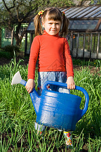 带水的小女孩 在菜园里放水罐子图片