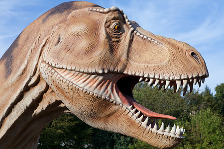 绿色树上和天空背面的恐龙暴龙雷克斯食肉灭绝蜥蜴树木古生物学游客牙齿侏罗纪动物侵略图片