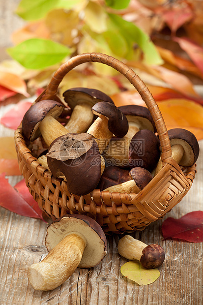 秋天在木制桌上编织篮子的木蘑菇图片