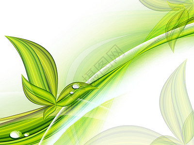 植物矢量背景 Eps10绿色滚动环境海浪漩涡生长插图绘画叶子艺术图片