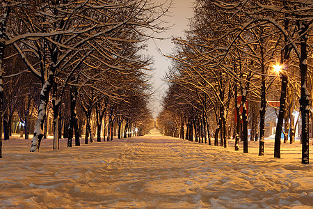 冬季之夜雪堆公园场景树木城市降雪灯笼街道大街风景图片