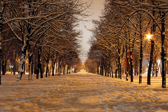 冬季之夜雪堆公园场景树木城市降雪灯笼街道大街风景图片