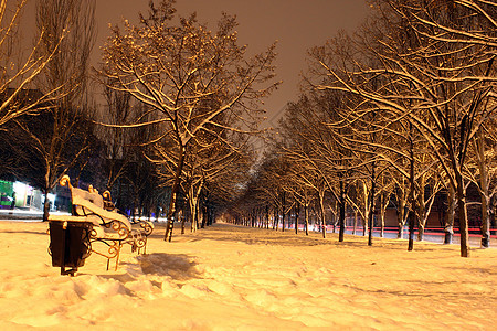 夜间通道公园城市风景场景树木灯笼雪堆降雪大街长椅图片
