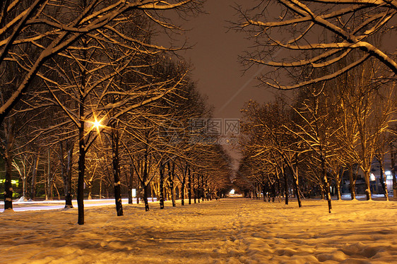 冬季之夜雪堆公园季节大街场景城市风景树木街道灯笼图片