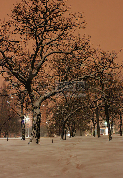 冬季之夜季节城市公园大街场景灯笼降雪雪堆街道风景图片