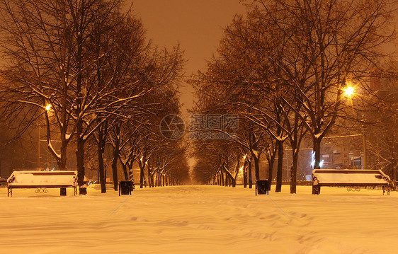 夜间通道长椅场景雪堆公园街道城市降雪风景灯笼季节图片