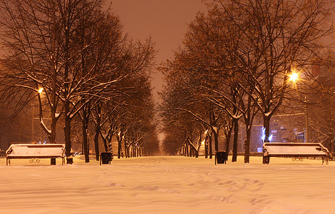 冬季之夜雪堆场景街道大街灯笼公园季节风景城市降雪图片