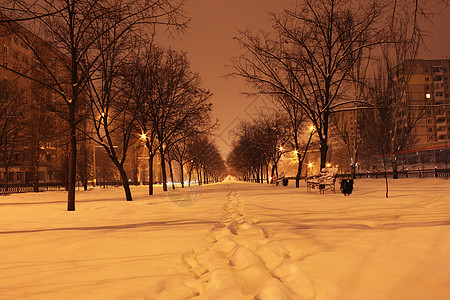 冬天街道冬季之夜公园大街树木城市长椅街道灯笼季节降雪雪堆背景