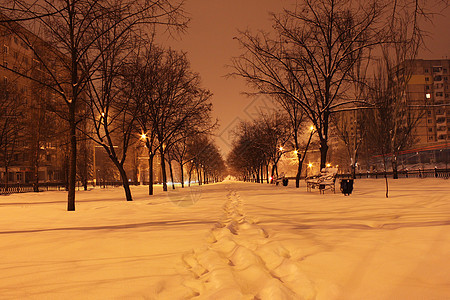 冬季之夜公园大街树木城市长椅街道灯笼季节降雪雪堆图片