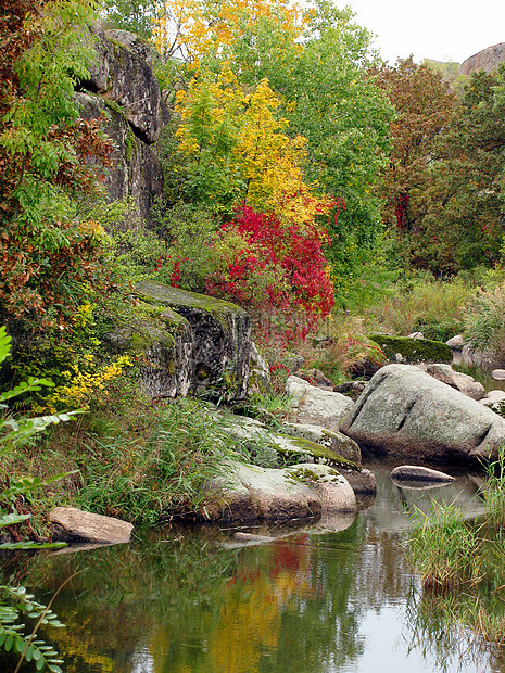 秋季的颜色岩石紫色树木绿色反射黄色池塘石头情景森林图片