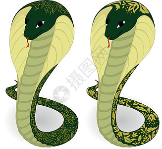 绿蛇 花纹状绿蛇图片