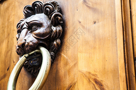 狮子头敲门人金属青铜黄铜木头房子入口狮子古董戒指门把手图片