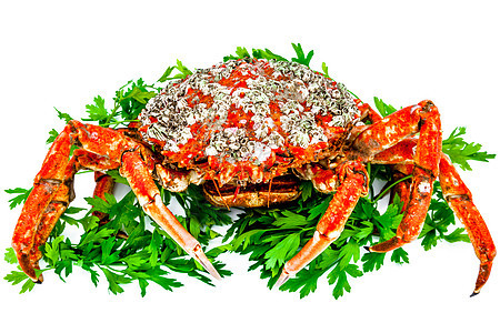 蜘蛛蟹海洋动物美食烹饪甲壳食物红色海鲜螃蟹贝类图片