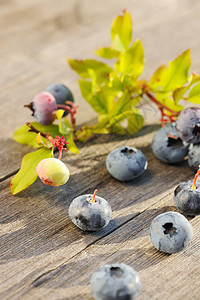 木制桌上的蓝莓浆果水果木头蓝色桌子食物团体叶子覆盆子图片