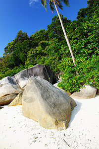 美丽的海滩假期海景风景海岸线天空蓝色石头旅行岩石热带图片