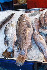 海产食品市场新鲜鱼店铺食物生活健康海鲜红色购物低音销售粉色图片