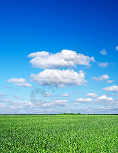 绿绿地天空生长农场牧场农村远景晴天地平线太阳蓝色图片