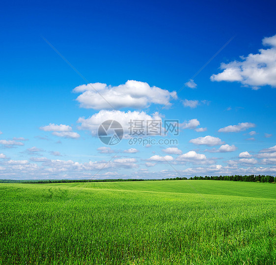 绿绿地土地牧场天空场地季节太阳国家天气远景植物图片