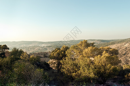 以色列的自然性质教养历史环境衬套场地天蓝色蓝色生态绿色灌木图片