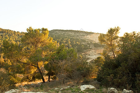 以色列的自然性质天空天蓝色农村教养生态环境爬坡历史衬套荒野图片