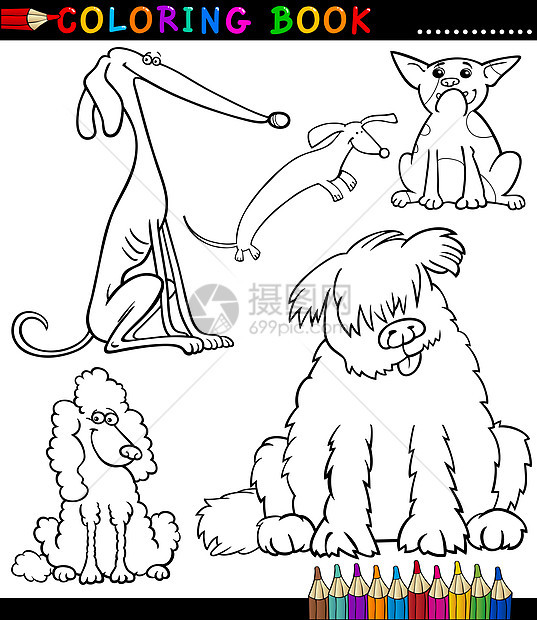 卡通狗或涂色书用的小狗卡通片快乐贵宾犬插图吉祥物漫画填色彩页染色收藏图片