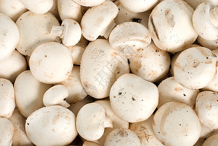 原始蘑菇的背景背景图片