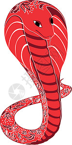 红眼镜蛇 有花形背景图片