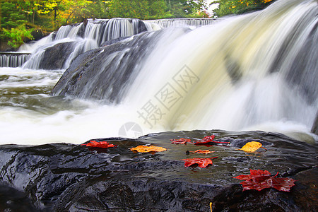 密歇根州债券瀑布场景栖息地荒野旅行风景水池地形植被叶子溪流图片