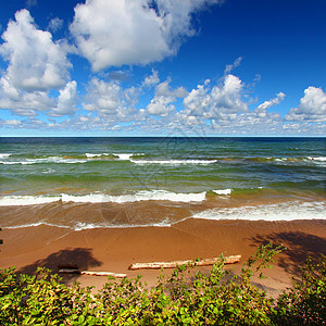 湖上海滩栖息地绿地海岸线晴天荒野天气风景环境蓝色场景图片