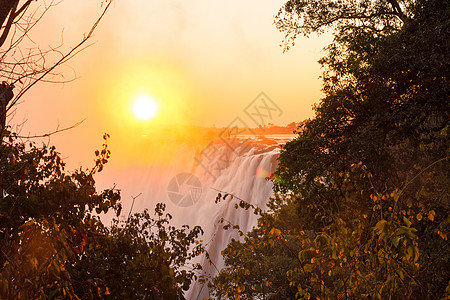 维多利亚瀑布接近日落旅游刷子橙子树木公园荒野衬套国家瀑布图片