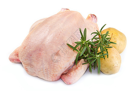 白底土豆鸡肉 白本孤立家禽食物大腿午餐母鸡白色营养农场皮肤迷迭香图片