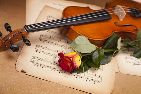 美丽的玫瑰和小提琴黑色木头音乐乐器艺术中提琴笔记白色细绳礼物图片