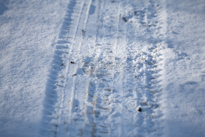 雪雪中的轮胎或轮胎轨图片