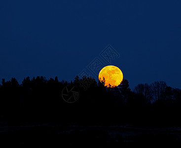 超级月升迷信天空天堂月球卫星球体红色月亮图片