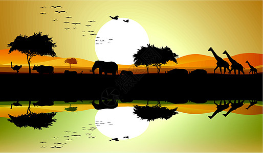 野外动物的美丽光环游猎荒野旅游场地假期动物橙子阳光湖泊植物群图片