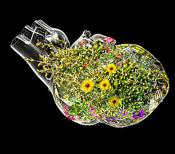 健康心脏健康平衡蓝色黄色生长叶子活力玻璃花朵枝条医疗背景图片
